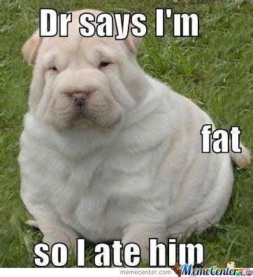 funny fat dog|fat dog jokes.